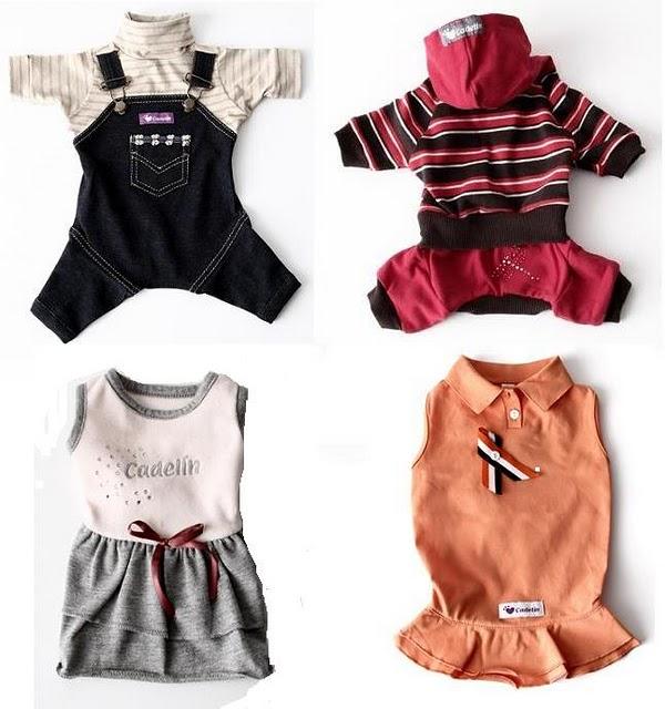 Perros a la última con CADELÍN Perros a la última con CADELÍN