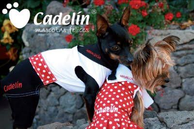 Perros a la última con CADELÍN Perros a la última con CADELÍN