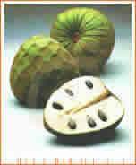 Cómo cultivar chirimoyas chirimoya