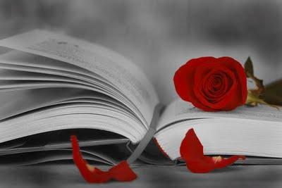 Feliz día de Sant Jordi Feliz día de Sant Jordi