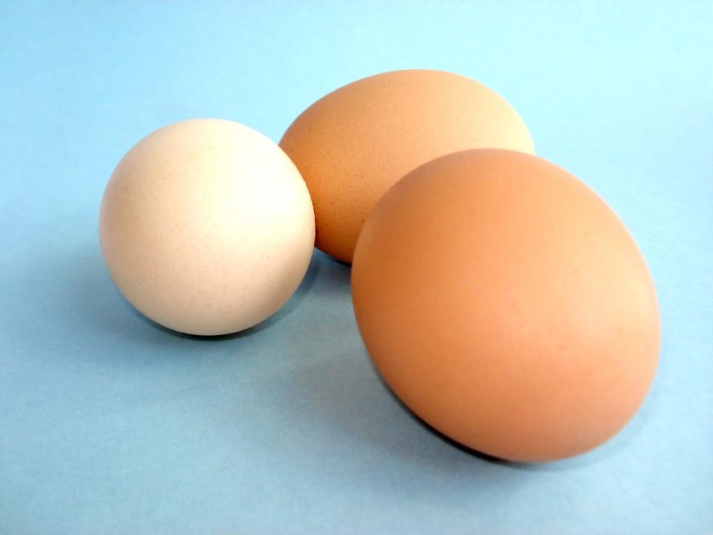 Mito: El huevo aumenta el colesterol