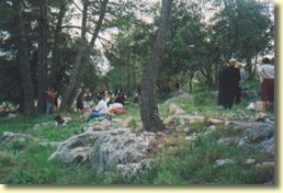 Jalón / Xaló. Fiesta de San Pedro Mártir o Fiesta del Romero 2011 Jalón / Xaló. Fiesta de San Pedro Mártir o Fiesta del Romero 2011