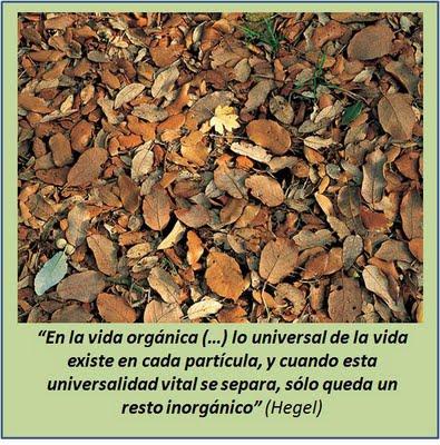 LA REGENERACIÓN: UNA NECESIDAD HISTÓRICA LA REGENERACIÓN: UNA NECESIDAD HISTÓRICA