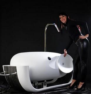 BAÑERA TRANSFORMER BAÑERA TRANSFORMER