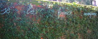 PEGGY GUGGENHEIM COLLECTION PEGGY GUGGENHEIM COLLECTION