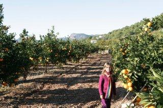 La siguiente generación de la Familia Monzó La siguiente generación de la Familia Monzó