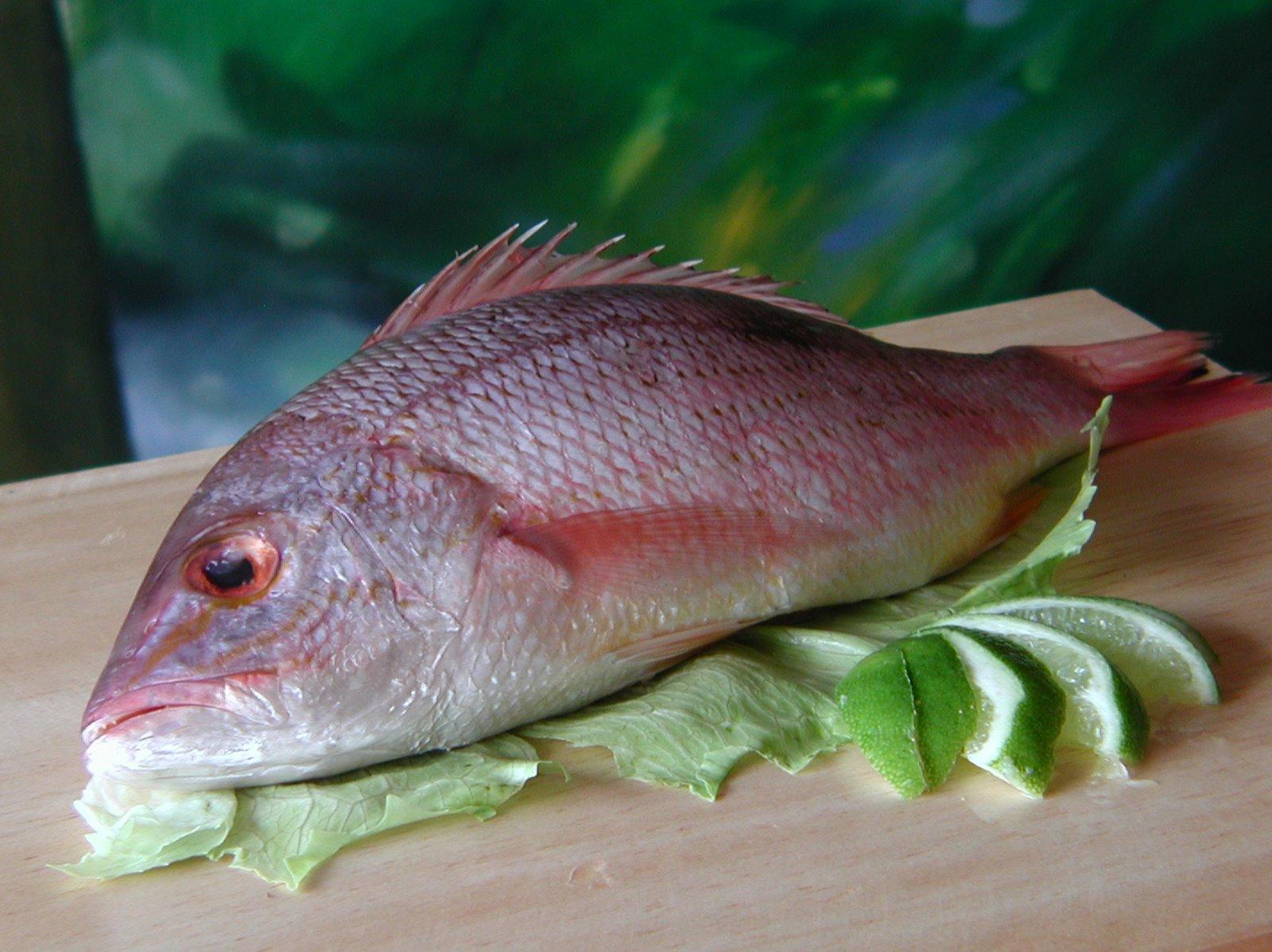 CONSUMIR PESCADO EN EL EMBARAZO REDUCE EL RIESGO DE PARTOS PREMATUROS CONSUMIR PESCADO EN EL EMBARAZO REDUCE EL RIESGO DE PARTOS PREMATUROS