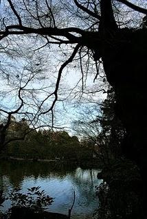 Tokio, día 5 Tokio, día 5