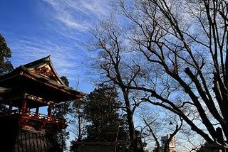 Tokio, día 5 Tokio, día 5