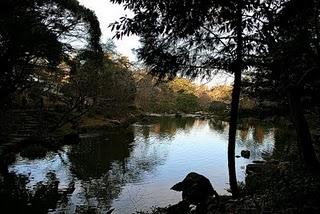 Tokio, día 5 Tokio, día 5