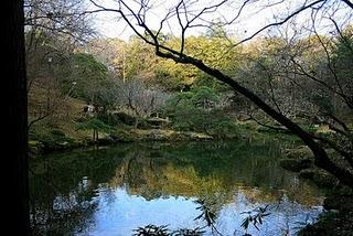 Tokio, día 5 Tokio, día 5