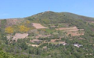 Terrenos de DEscendientes de J. Palacios Terrenos de DEscendientes de J. Palacios