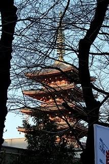 Tokio, día 6 Tokio, día 6