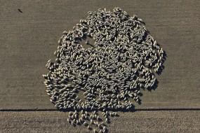 El paseo de Jane colectivo zuloark zuloark El paseo de Jane urbanismo espacio público democracia urbana ciudad acción urbana acción política