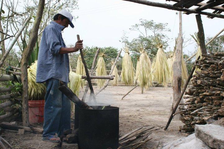 El fino Sombrero de Manabí – I