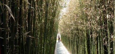 El jardín como metáfora