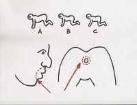 TRIOLOGIA THE HUMAN CENTIPEDE TRIOLOGIA THE HUMAN CENTIPEDE