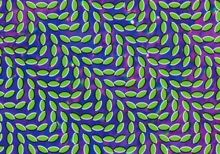 animal-collective Tendencia: Folk technicolor