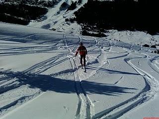 distractores distractores