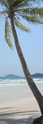 Guia de Vietnam, revisada y actualizada Guia de Vietnam, revisada y actualizada