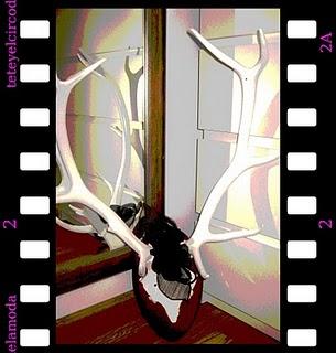 RODOLFINA A LA MODA RODOLFINA A LA MODA