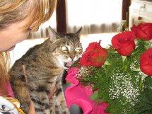 Recibí de Sara, una lectora desde España, este mensaje qu... Recibí de Sara, una lectora desde España, este mensaje qu...