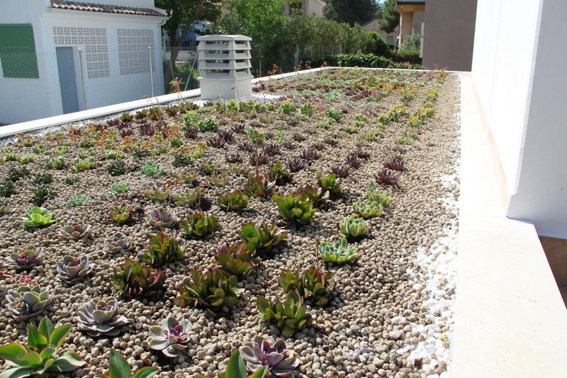 Cubierta vegetal en Vilamarxant, Valencia. Cubierta ecológica Valencia.