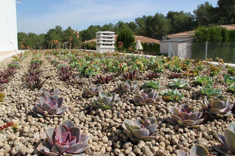Cubierta vegetal en Vilamarxant, Valencia. Cubierta ecológica Valencia.