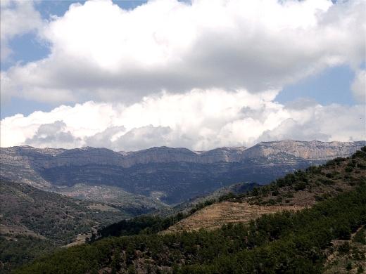 Montsants y Priorats de 2009 Montsant de primavera 2011