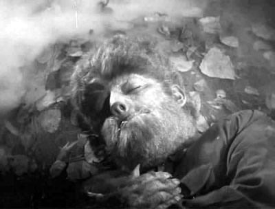 En compañia de lobos En compañia de lobos