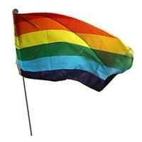 Día mundial contra la homofobia y la transfobia Día mundial contra la homofobia y la transfobia