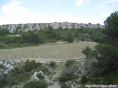 La Clape - Entre Narbonne y el mar La Clape - Entre Narbonne y el mar