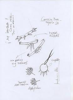 El encantador de diamantes. (Parte II) El encantador de diamantes. (Parte II)