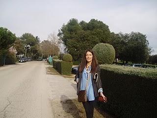 El encantador de diamantes. (Parte II) El encantador de diamantes. (Parte II)