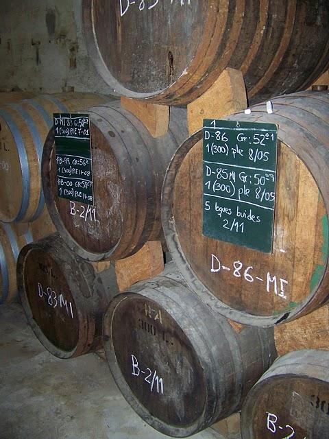 DESTILERIA BODEGAS TORRES DESTILERIA BODEGAS TORRES