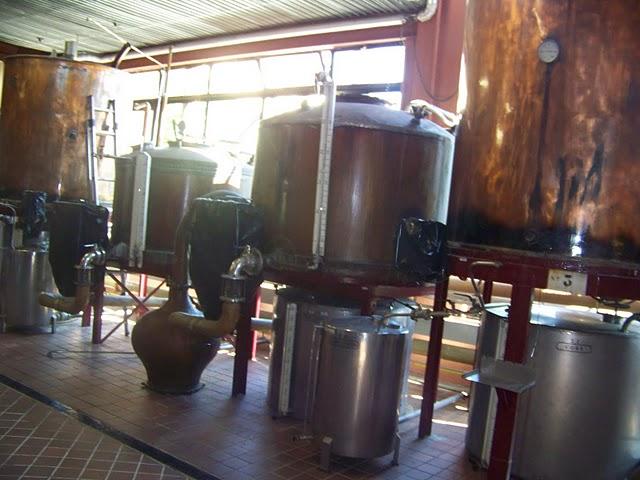 DESTILERIA BODEGAS TORRES DESTILERIA BODEGAS TORRES
