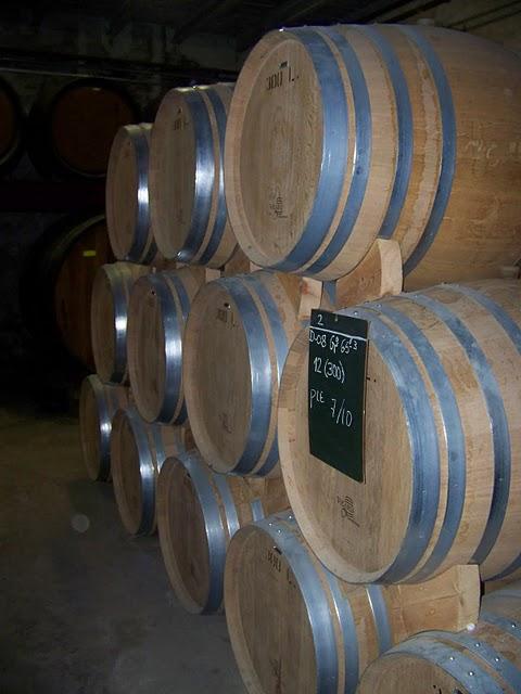 DESTILERIA BODEGAS TORRES DESTILERIA BODEGAS TORRES