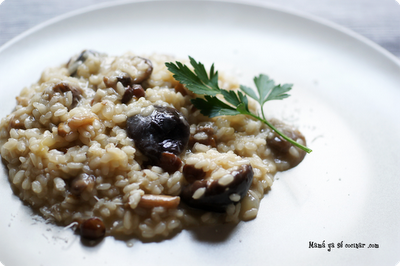 Risotto al funghi porcini Risotto al funghi porcini