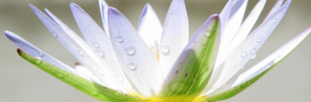 MEDITACIÓN GRUPAL EN BARCELONA 17:30 (Plaza Cataluña) HOY DIA 22-5-2011 MEDITACIÓN GRUPAL EN BARCELONA 17:30 (Plaza Cataluña) HOY DIA 22-5-2011