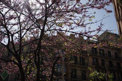 Cupcakes para endulzar el día Cupcakes para endulzar el día