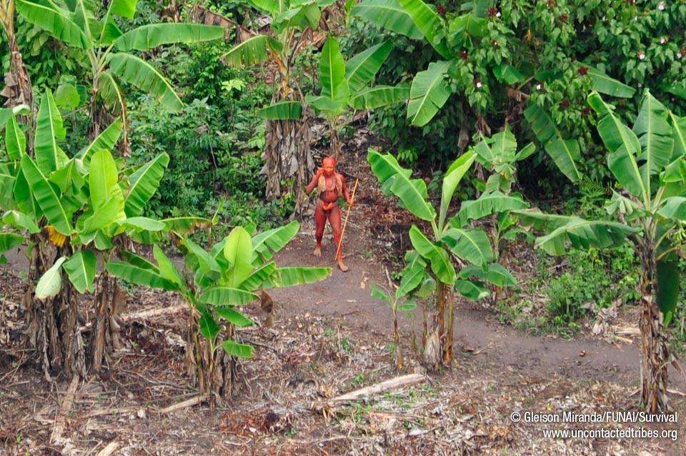 Aún existen tribus aisladas en el Mundo. (Fotos tomadas en Brasil)