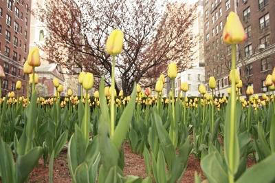 ¡Primavera al fin!