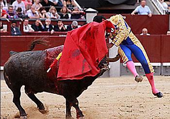 EL MEXICANO IGNACIO GARIBAY SUFRIO UNA CORNADA EN EL MUSLO DERECHO EN SU REAPARICIÓN EN LAS VENTAS EL MEXICANO IGNACIO GARIBAY SUFRIO UNA CORNADA EN EL MUSLO DERECHO EN SU REAPARICIÓN EN LAS VENTAS