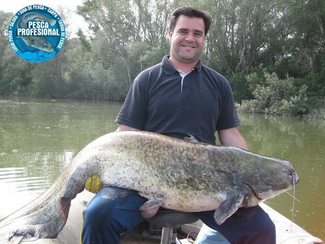 catfish PESCADORES DE VALENCIA