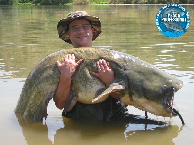 catfish PESCADORES DE VALENCIA