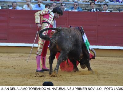 FERIA DE CÓRDOBA 2ª DE ABONO: JUAN ORTEGA CORTA UNA OREJA EN LA NOVILLADA DE FUENTE YMBRO