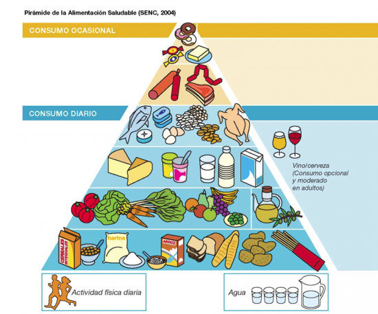 piramide alimenticia