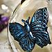 Crafts & Beauty Flutterby Bottles