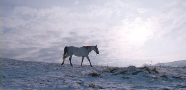 Essential Killing, Polonia 2010 Essential Killing, Polonia 2010