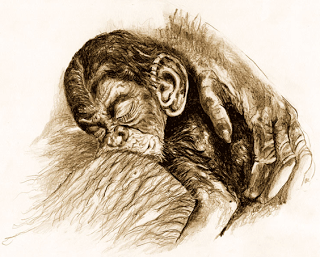 La importancia del tacto para el bebé La importancia del tacto para el bebé